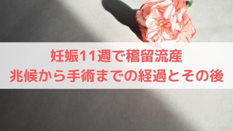 妊娠11週で稽留流産 兆候から手術までの経過とその後 うえみぃブログ